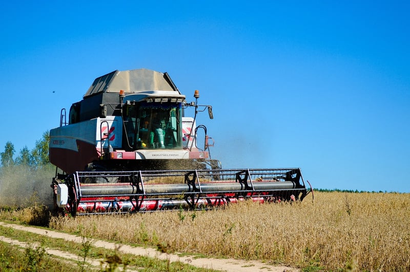 Summer Harvesting