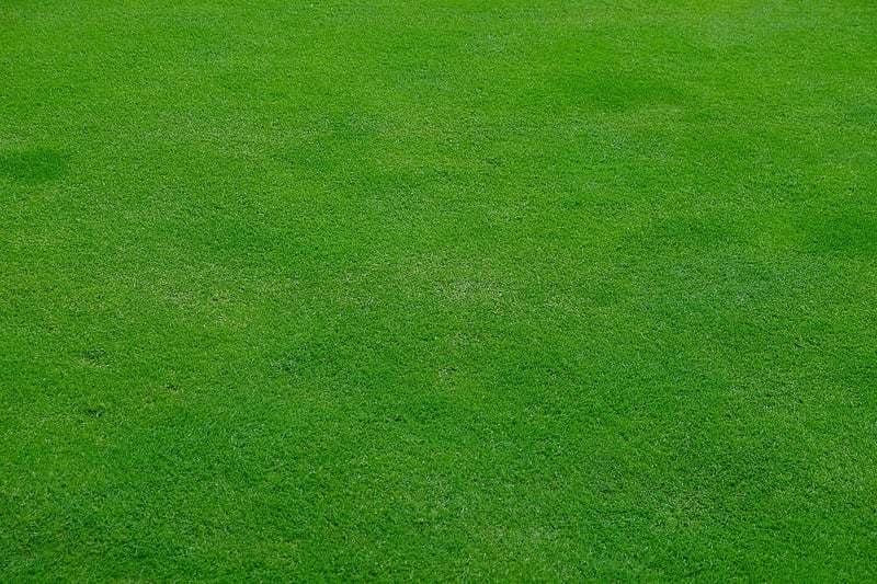 Garden Maintenance